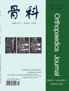 武汉医学期刊
